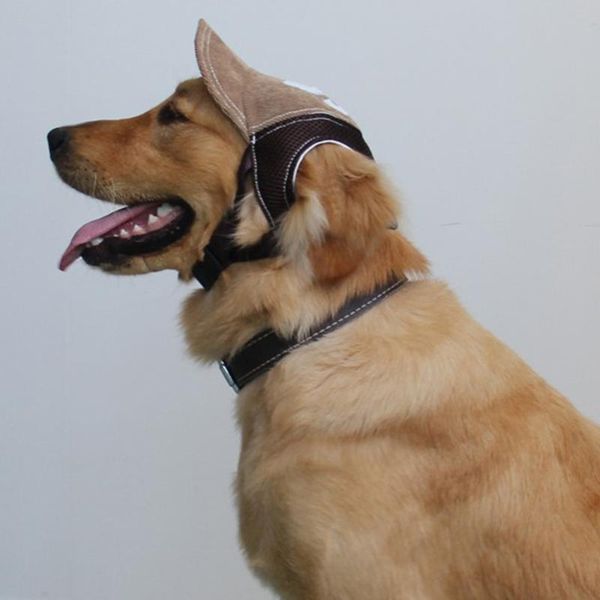 dog apparel pet hat baseball clousers costumes sport gorra cap corduroy m-shaped g-embroidered visor
dog apparel pet hat baseball clousers costumes sport gorra cap corduroy m-shaped g-embroidered visor
