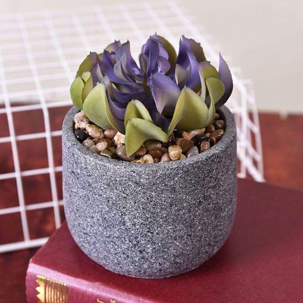 marble succulent plant home fleshy simulation potted decoration decorative flowers & wreaths
marble succulent plant home fleshy simulation potted decoration decorative flowers & wreaths