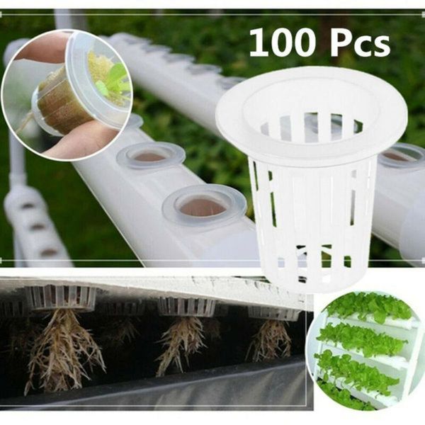 planters & pots 100pcs vegetable net cup 35*35mm plastic soilless culture pot hydroponic slotted
planters & pots 100pcs vegetable net cup 35*35mm plastic soilless culture pot hydroponic slotted