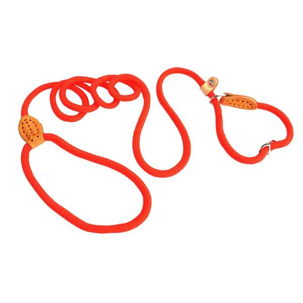 dog collars & leashes harness nylon durable pet accessories with buckle running training leash anti slip walking adjustable portable rope le
dog collars & leashes harness nylon durable pet accessories with buckle running training leash anti slip walking adjustable portable rope le