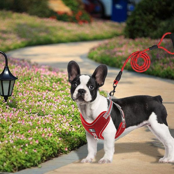 urijk large dog harness vest breathable no pull training adjustable reflective pet harnesses for pitbull labrador collars & leashes
urijk large dog harness vest breathable no pull training adjustable reflective pet harnesses for pitbull labrador collars & leashes