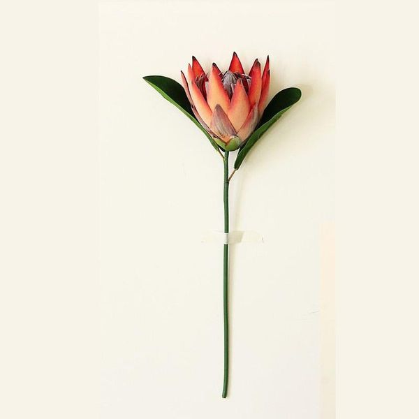 decorative flowers & wreaths artificial dried wall wedding fake christmas thanksgiving valentine's day party emperor flower home decora
decorative flowers & wreaths artificial dried wall wedding fake christmas thanksgiving valentine's day party emperor flower home decora