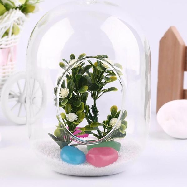vases 1pc glass vase transparent hanging terrarium succulents plant landscape home decor gift in bedroom living room office
vases 1pc glass vase transparent hanging terrarium succulents plant landscape home decor gift in bedroom living room office