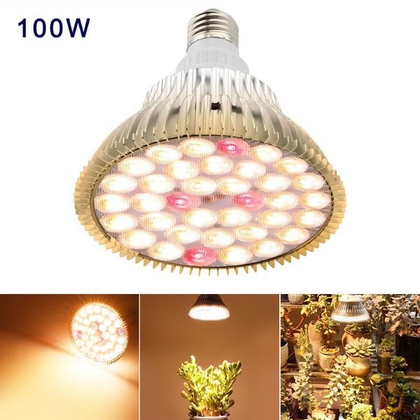 grow lights 100w led light full spectrum e27 growing bulb fitolamp for indoor hydroponics growbox flowers plants growth lamp
grow lights 100w led light full spectrum e27 growing bulb fitolamp for indoor hydroponics growbox flowers plants growth lamp