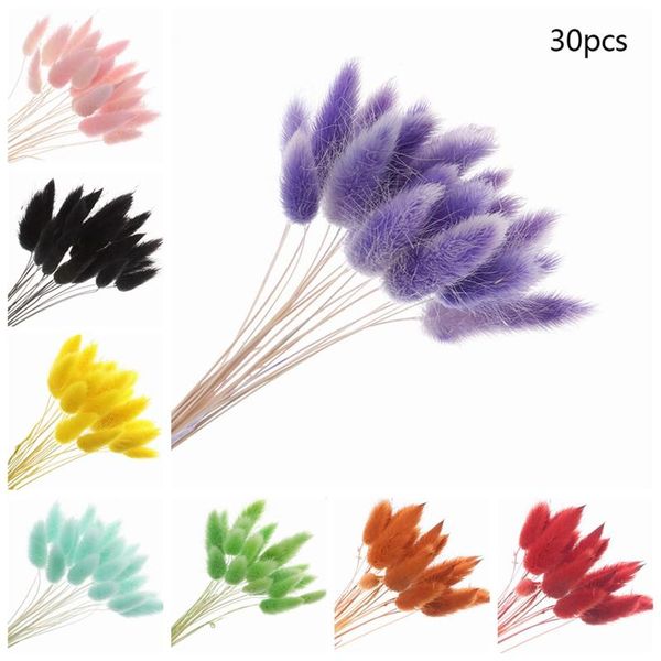 decorative flowers & wreaths 15/30/50 pc natural dried flower tail pampas grass bunch real bouquet for pography props flores diy home
decorative flowers & wreaths 15/30/50 pc natural dried flower tail pampas grass bunch real bouquet for pography props flores diy home