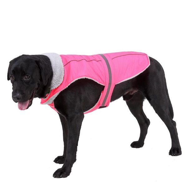 dog apparel solid cotton pet chihuahua jacket clothing winter warm clothes coat jumpsuit hoodies for mediam large pets
dog apparel solid cotton pet chihuahua jacket clothing winter warm clothes coat jumpsuit hoodies for mediam large pets