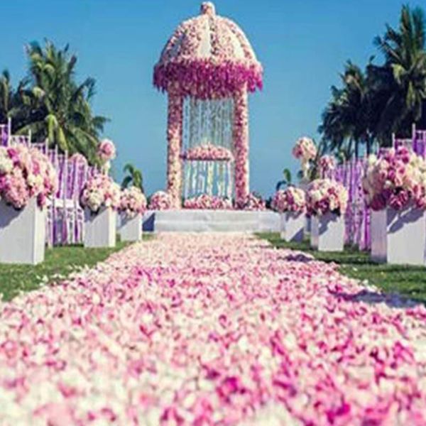other accessories bridal wedding 2021 wholesale 1000pcs/lot atificial flowers polyester decorations rose petals patal flower, White
other accessories bridal wedding 2021 wholesale 1000pcs/lot atificial flowers polyester decorations rose petals patal flower, White