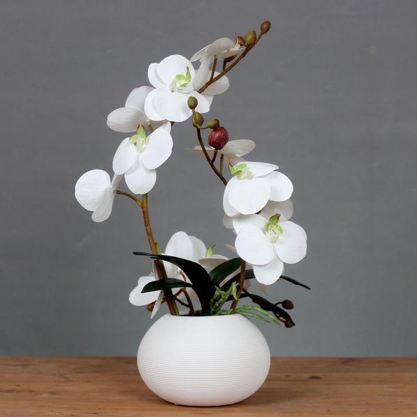 vases modern minimalist ceramic vase+butterfly orchid artificial flowers crafts phalaenopsis decoration coffee table floral ornament
vases modern minimalist ceramic vase+butterfly orchid artificial flowers crafts phalaenopsis decoration coffee table floral ornament