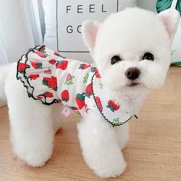 super cute puppy dog strawberry print dress spring fashion soft cotton pet dogs clothes overalls shirt chihuahua apparel
super cute puppy dog strawberry print dress spring fashion soft cotton pet dogs clothes overalls shirt chihuahua apparel