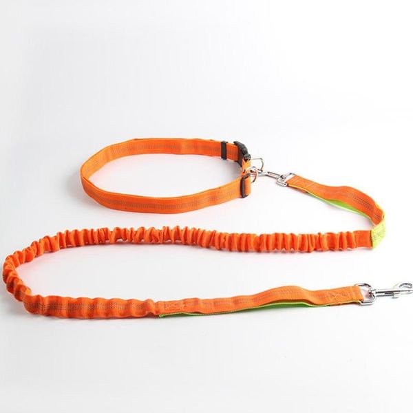 dog collars & leashes 1pc pet leash rope nylon multifunctional running reflective strap traction elastic harness collar lead
dog collars & leashes 1pc pet leash rope nylon multifunctional running reflective strap traction elastic harness collar lead
