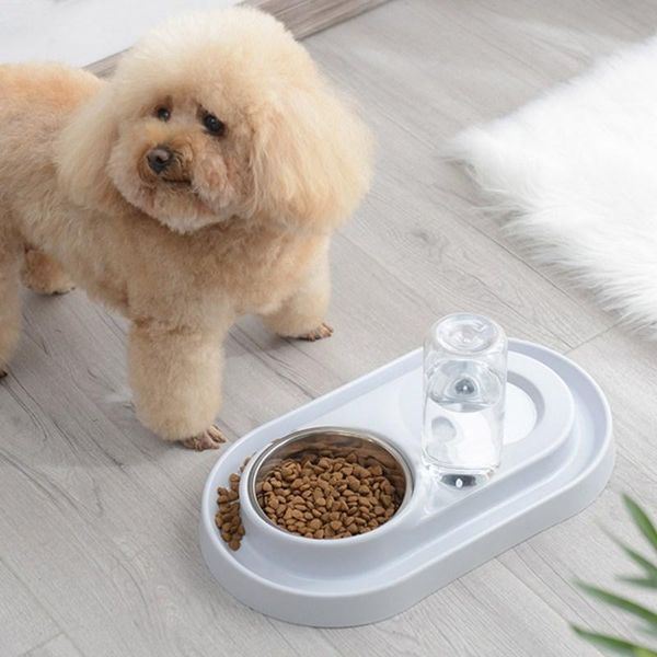 dog bowls & feeders double pet food water feeder cute cartoon 3 colours drinking dish cats puppy feeding accessories
dog bowls & feeders double pet food water feeder cute cartoon 3 colours drinking dish cats puppy feeding accessories