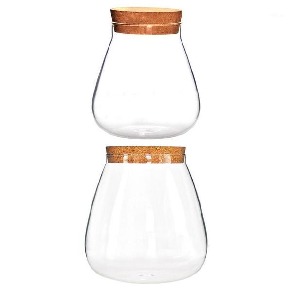 storage bottles & jars 2pcs glass seal ecological microlandscape vase empty