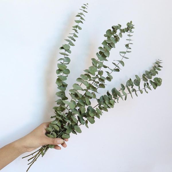 decorative flowers & wreaths 10pcs real dried eucalyptus branches 45-50cm preserved fresh flower bouquet nature plant leaves garden home wed
decorative flowers & wreaths 10pcs real dried eucalyptus branches 45-50cm preserved fresh flower bouquet nature plant leaves garden home wed