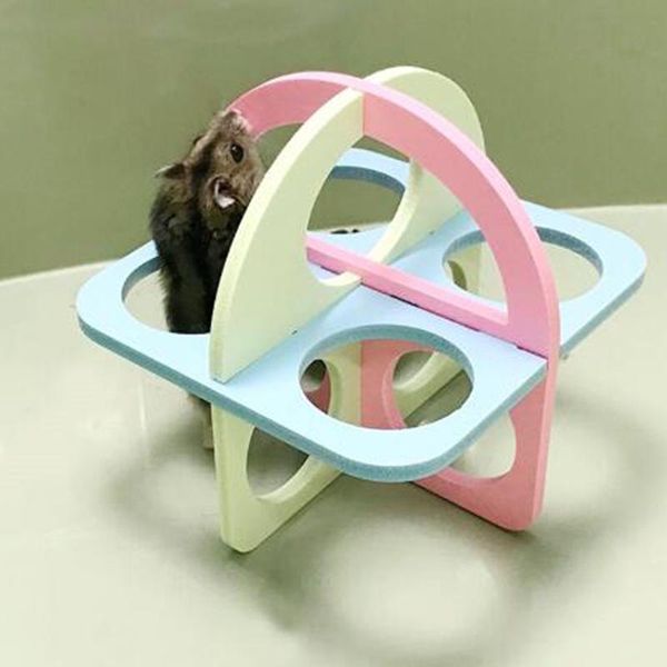 small animal supplies hamster ladder exercise fitness toys climb sport pets activity squirrel chinchilla guinea pig products colorful cage
small animal supplies hamster ladder exercise fitness toys climb sport pets activity squirrel chinchilla guinea pig products colorful cage