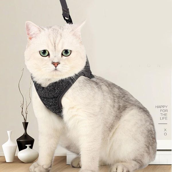 escape proof cat vest harness and leash set leads for small medium large smd66 collars &
escape proof cat vest harness and leash set leads for small medium large smd66 collars &