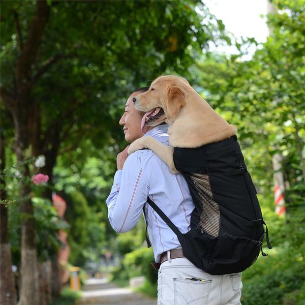 dog car seat covers portable carrier pet shoulder traveler backpack outcrop bags breathable washable outdoor bicycle hiking 1pc
dog car seat covers portable carrier pet shoulder traveler backpack outcrop bags breathable washable outdoor bicycle hiking 1pc