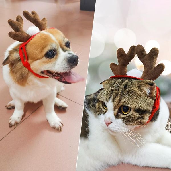 cat costumes pet supplieschristmas accessoriesdog hairpin accessorieschristmas antlers headbanddog hat
cat costumes pet supplieschristmas accessoriesdog hairpin accessorieschristmas antlers headbanddog hat