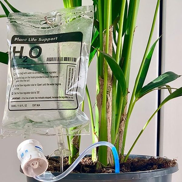 watering equipments 350ml automatic dripper infusion bag plant life support drip irrigation household adjustable flower waterer
watering equipments 350ml automatic dripper infusion bag plant life support drip irrigation household adjustable flower waterer