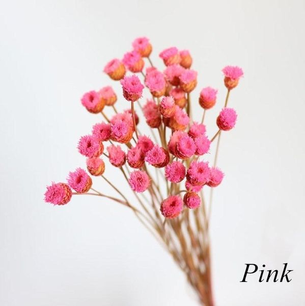 decorative flowers & wreaths 50pcs / lot happy flower natural dried bouquet home decoration real diy arrangement shooting props
decorative flowers & wreaths 50pcs / lot happy flower natural dried bouquet home decoration real diy arrangement shooting props