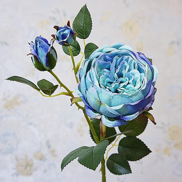decorative flowers & wreaths big austin rose of england with fake leaves artificial flores artificiales eternel room decor party supplies
decorative flowers & wreaths big austin rose of england with fake leaves artificial flores artificiales eternel room decor party supplies