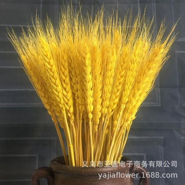 decorative flowers & wreaths 50pc/lot artificial wheat ear flower natural dried wedding party decoration diy craft scrapbook home decor bouq
decorative flowers & wreaths 50pc/lot artificial wheat ear flower natural dried wedding party decoration diy craft scrapbook home decor bouq