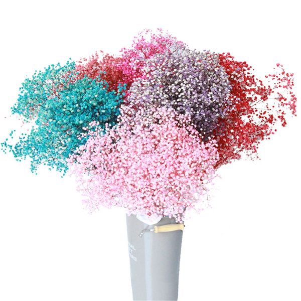 babies breath natura fowers pastic gypsophia diy fora bouquets arrangement for wedding home decoration
babies breath natura fowers pastic gypsophia diy fora bouquets arrangement for wedding home decoration