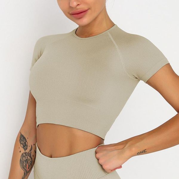 yoga outfit ribbed workout for women blouse athletic shirts crop gym seamless shirt sports active wear
yoga outfit ribbed workout for women blouse athletic shirts crop gym seamless shirt sports active wear
