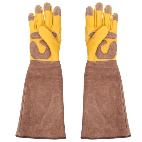 disposable gloves 1pair cut resistant cattle leather gardening protective (yellow)
disposable gloves 1pair cut resistant cattle leather gardening protective (yellow)