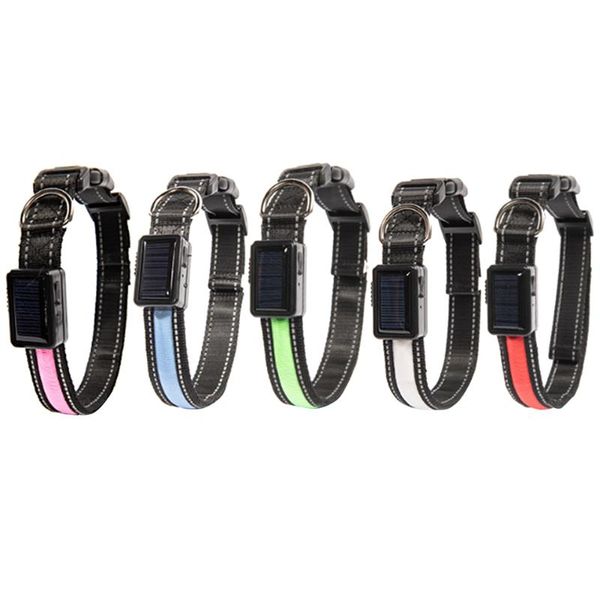 original solar usb rechargeable led dog collar night safety glow flashing pet cat luminous collars leads selling & leashes
original solar usb rechargeable led dog collar night safety glow flashing pet cat luminous collars leads selling & leashes