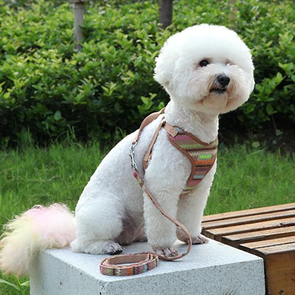 pet breast sling leash color wool corset small and medium-sized dog leashing accessories harness collars & leashes
pet breast sling leash color wool corset small and medium-sized dog leashing accessories harness collars & leashes