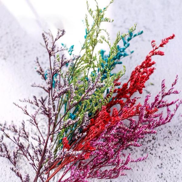 decorative flowers & wreaths 100g big branch natural dried forver love grass preserved for wedding party decor home room decoration
decorative flowers & wreaths 100g big branch natural dried forver love grass preserved for wedding party decor home room decoration