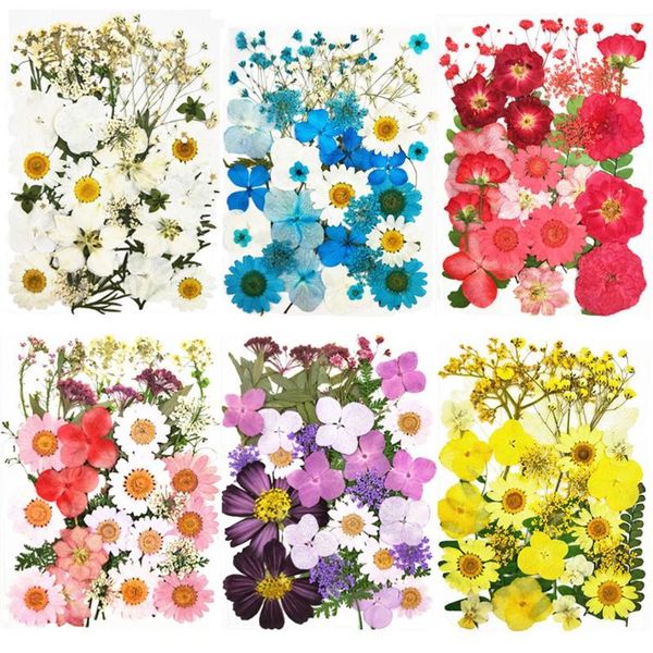 decorative flowers & wreaths set real dried pressed natural dry preserved daisy rose leaves for scrapbook bookmark phone case card mar
decorative flowers & wreaths set real dried pressed natural dry preserved daisy rose leaves for scrapbook bookmark phone case card mar