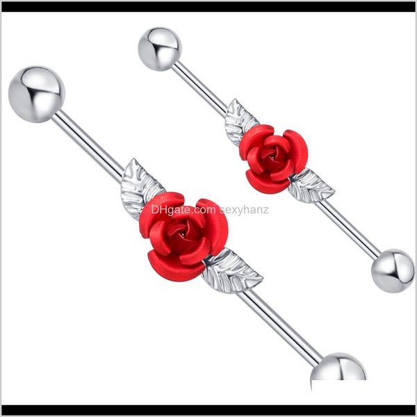 plugs & tunnels drop delivery 2021 red rose with leaves industrial piercing cartilage barbells 14g surgical steel ear bar body earring j, Silver
plugs & tunnels drop delivery 2021 red rose with leaves industrial piercing cartilage barbells 14g surgical steel ear bar body earring j, Silver