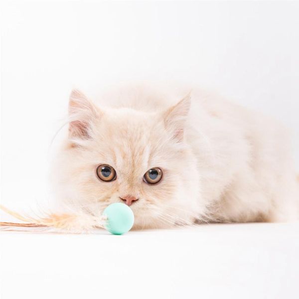 cat toys 3pcs play toy funny interactive kitten ball with fake feather pet accessories supplies
cat toys 3pcs play toy funny interactive kitten ball with fake feather pet accessories supplies