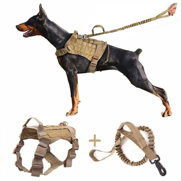 dog collars & leashes tactical harness sets for large military service with adjustable handle hunting molle k9 vest bungee leash
dog collars & leashes tactical harness sets for large military service with adjustable handle hunting molle k9 vest bungee leash