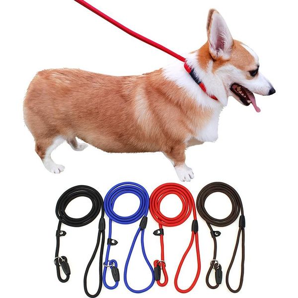 pet dog leash rope nylon adjustable running walk training lead strap traction harness collar collars & leashes
pet dog leash rope nylon adjustable running walk training lead strap traction harness collar collars & leashes