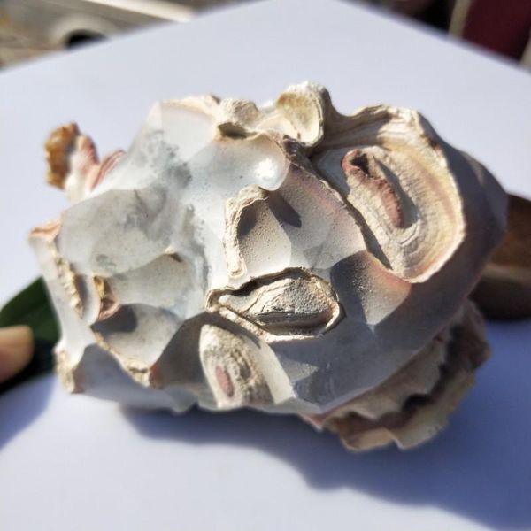 decorative objects & figurines 100-500g natural crystal white agate rough ore stones lucky gathergold healing specimens home decoration furn
decorative objects & figurines 100-500g natural crystal white agate rough ore stones lucky gathergold healing specimens home decoration furn