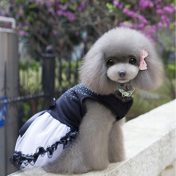 dog apparel clothes for dogs puppy wedding party lace dress bow tutu princess pet dresses
dog apparel clothes for dogs puppy wedding party lace dress bow tutu princess pet dresses