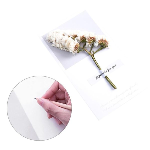 greeting cards 6pcs dried flower small fresh creative decorative invitation for wedding birthday
greeting cards 6pcs dried flower small fresh creative decorative invitation for wedding birthday