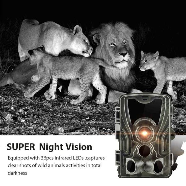 hunting camera 0.3s trigger time night version po trap 16mp 1080p ip65 wildlife surveillance cams cameras
hunting camera 0.3s trigger time night version po trap 16mp 1080p ip65 wildlife surveillance cams cameras