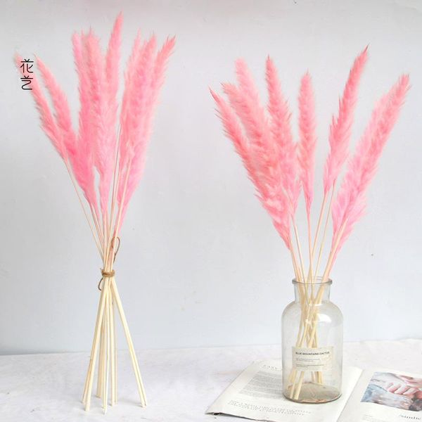 decorative flowers & wreaths 20 pcs natural dried pampas grass phragmites communis reed plant wedding flower bunch home decor diy decoration
decorative flowers & wreaths 20 pcs natural dried pampas grass phragmites communis reed plant wedding flower bunch home decor diy decoration