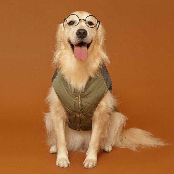 dog apparel medium and large dogs padded coats autumn winter warm jacket golden retriever labrador beagle accessories
dog apparel medium and large dogs padded coats autumn winter warm jacket golden retriever labrador beagle accessories