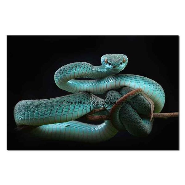 paintings horrible animal canvas painting snake posters and prints nordic wall art picture for living room decor
paintings horrible animal canvas painting snake posters and prints nordic wall art picture for living room decor
