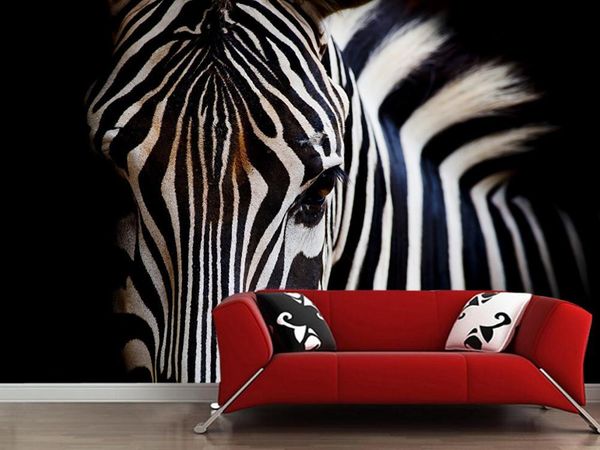 wallpapers customized papel de parede 3d,zebras closeup murals for children's room living background decorative waterproof wallpaper
wallpapers customized papel de parede 3d,zebras closeup murals for children's room living background decorative waterproof wallpaper