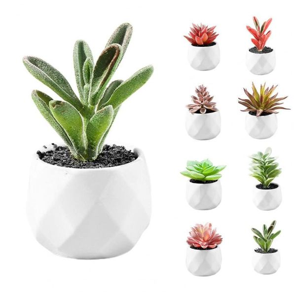 home artificial bonsai beautiful nice-looking realistic green plant simulation multilayer succulent (including pot) decorative flowers & wre
home artificial bonsai beautiful nice-looking realistic green plant simulation multilayer succulent (including pot) decorative flowers & wre