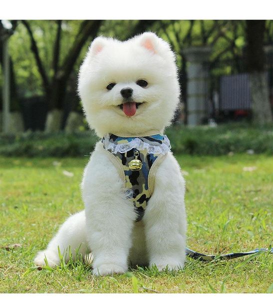 dog collars & leashes cute harness and leash set soft adjustable small lead puppy pink sailor walking leads with bells
dog collars & leashes cute harness and leash set soft adjustable small lead puppy pink sailor walking leads with bells