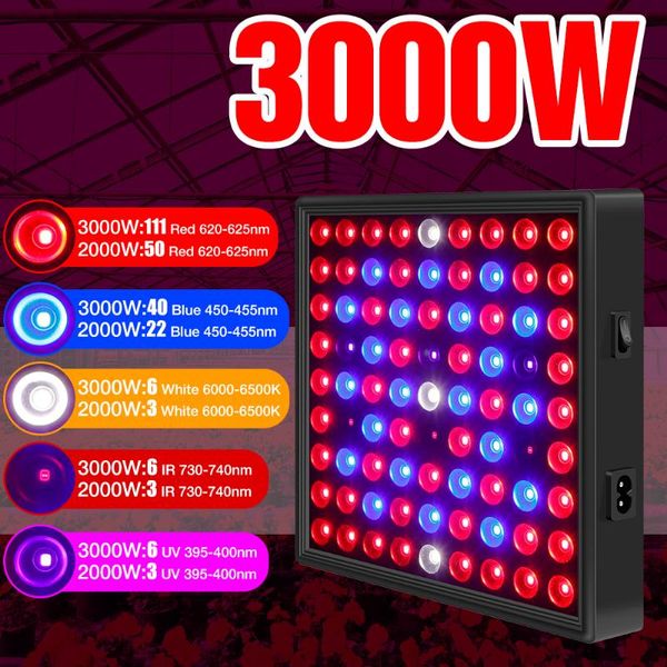 grow lights 2000w 3000w led light full spectrum phyto lamp for plants 220v hydroponic lighting indoor seedlings flower growth tent box
grow lights 2000w 3000w led light full spectrum phyto lamp for plants 220v hydroponic lighting indoor seedlings flower growth tent box