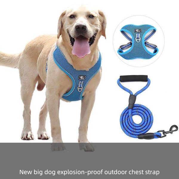 pet designer leashes polyester rope leash backpack harness black and white lead dog collar retractable collars &
pet designer leashes polyester rope leash backpack harness black and white lead dog collar retractable collars &