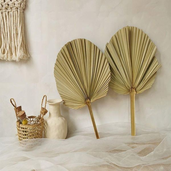 decorative flowers & wreaths 2pcs palm fan leaf round shape dried flower wedding party home living room decor art wall decoration po props
decorative flowers & wreaths 2pcs palm fan leaf round shape dried flower wedding party home living room decor art wall decoration po props
