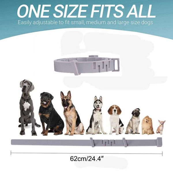 outdoor flea and tick treatment dog collar dogs cats essential oil mosquito repellent pet supplies collars & leashes
outdoor flea and tick treatment dog collar dogs cats essential oil mosquito repellent pet supplies collars & leashes